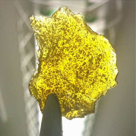 screenshot-2024-07-25-at-14-37-05-high-grade-harvest-at-highgrade-harvest-instagram-photos-and-videos-25percent